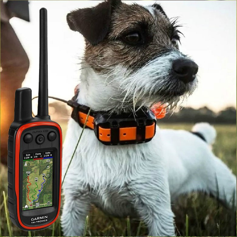 GPS DLA PSA alpha 100 z T5 GPS DLA PSA alpha 100 z T5