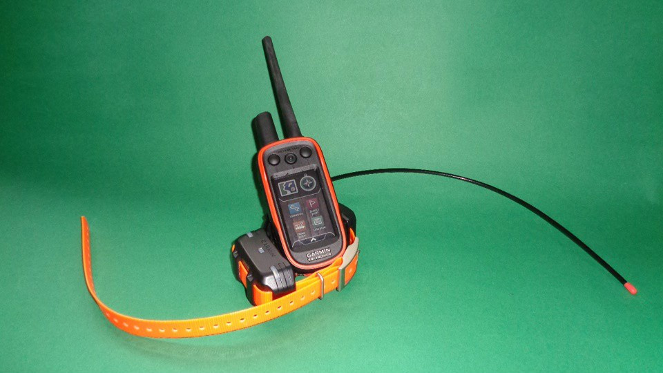 Garmin Alpha 100 z obrożą T5 Mini funkcją śledzenia psa Garmin Alpha 100 z obrożą T5 Mini funkcją śledzenia psa