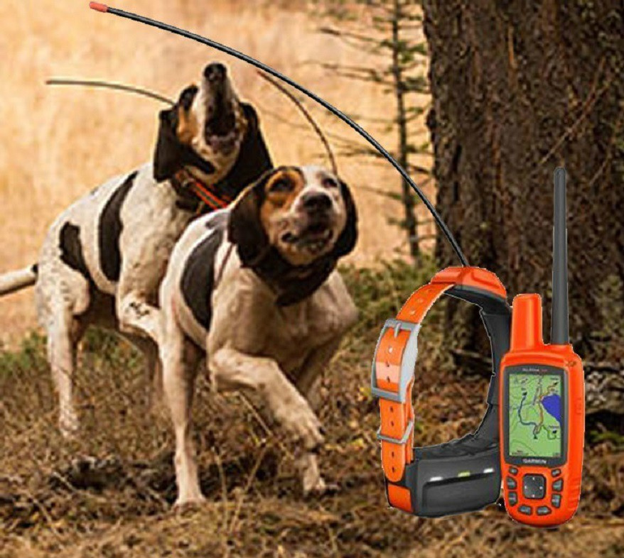 GPSA DLA PSA Garmin Alpha 50 z obrożą T5 do śledzenia psów myśliwskich GPSA DLA PSA Garmin Alpha 50 z obrożą T5 do śledzenia psów myśliwskich