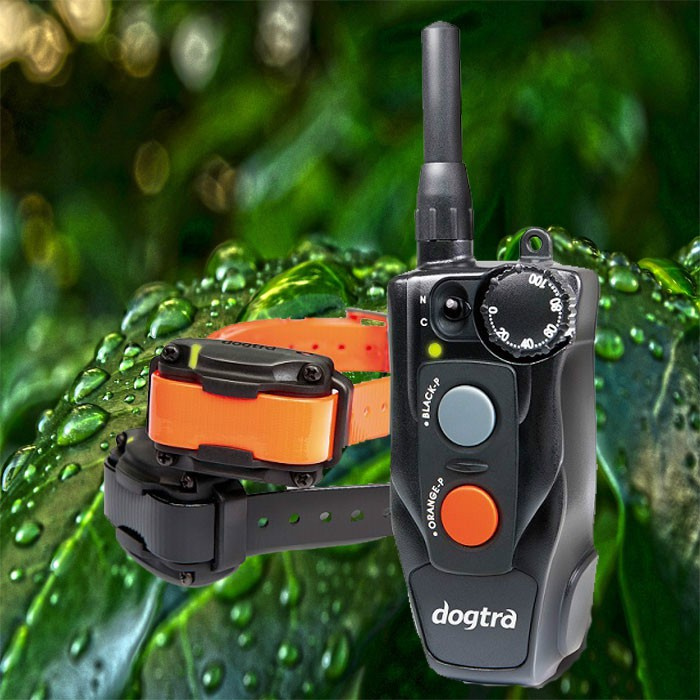 Obroża elektryczna dla 2 psów Dogtra 612C Obroża elektryczna dla 2 psów Dogtra 612C