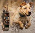 Obroża elektryczna dla psa Dogtra ARC 800 CAMO