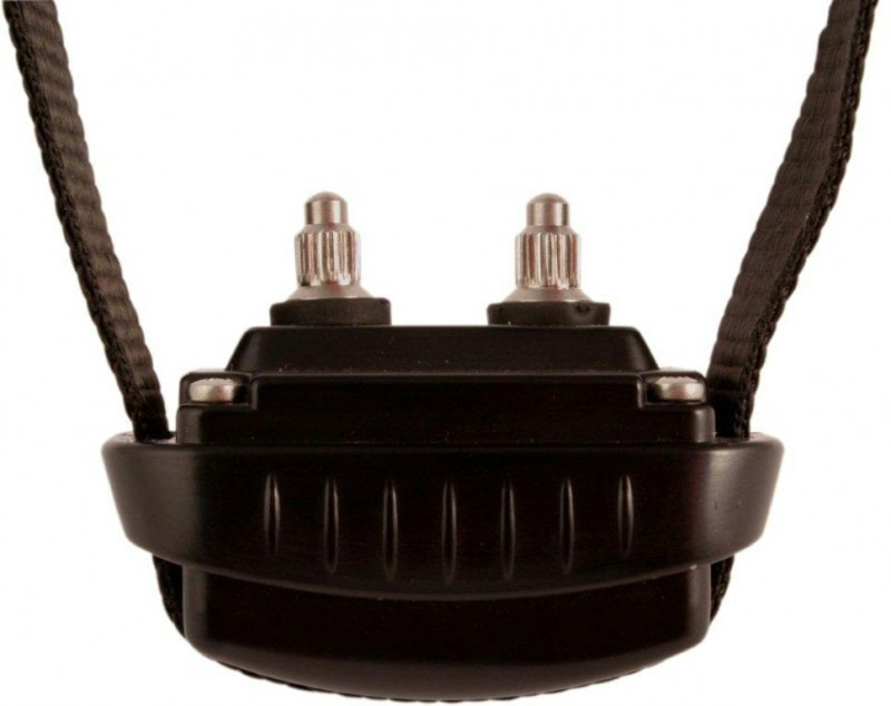 obroża antyszczekowa d-mute small light obroża antyszczekowa d-mute small light