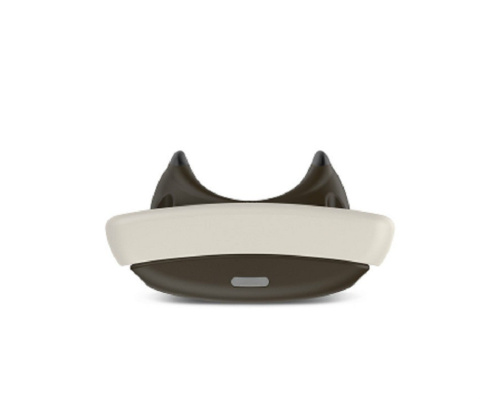 Garmin Delta Smart dla 1 psa zasięg 10 mertów z telefonem Garmin Delta Smart dla 1 psa zasięg 10 mertów z telefonem