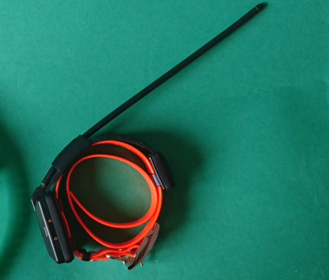 lokalizator gps dla psa lokalizator gps dla psa