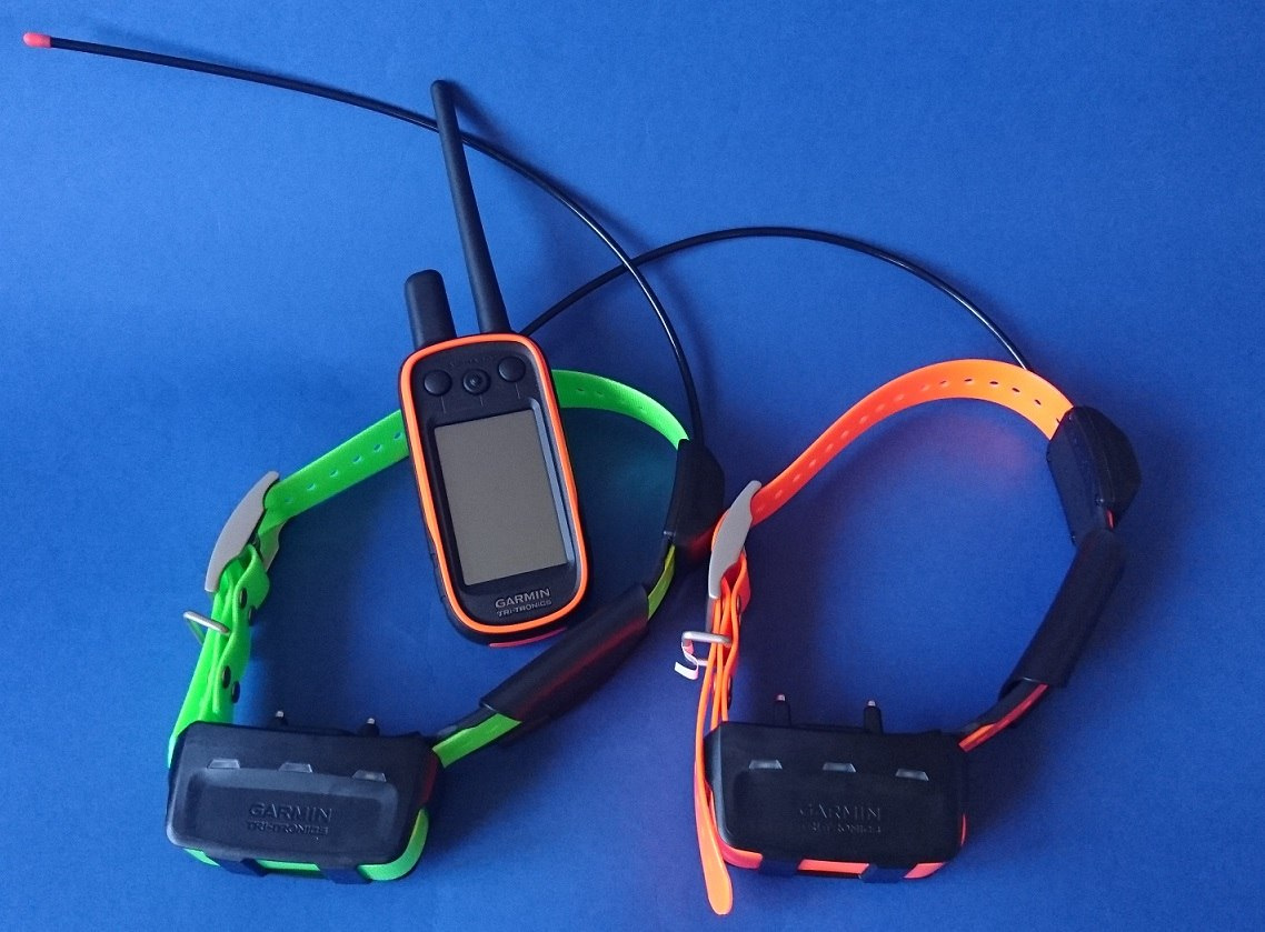 GPS dla psa Garmin Alpha 100 z obrożą TT15 dla 2 psów GPS dla psa Garmin Alpha 100 z obrożą TT15 dla 2 psów