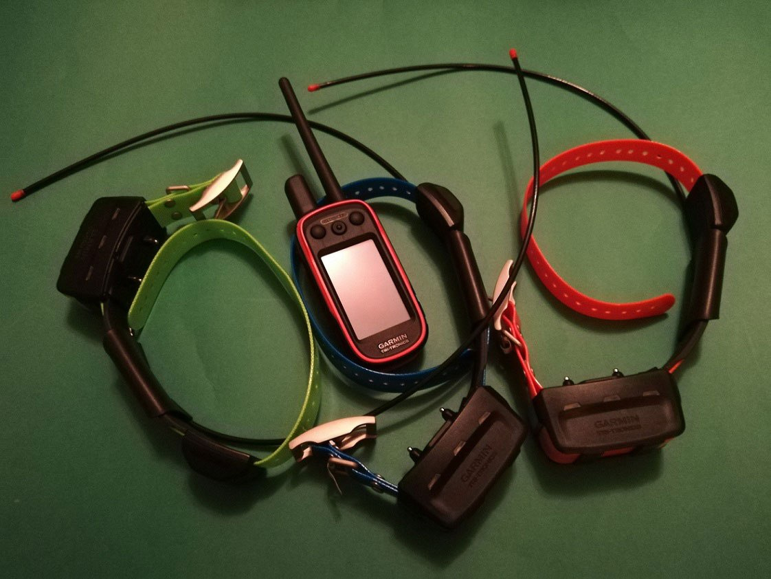 Alpha 100 z Garmin TT 15 gps dla 3 psów (śledzenie + sygnalizacja świetlna + wibracja, dźwięk, stymulacja) Alpha 100 z Garmin TT 15 gps dla 3 psów (śledzenie + sygnalizacja świetlna + wibracja, dźwięk, stymulacja)