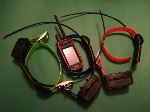 Alpha 100 z Garmin TT 15 gps dla 3 psów (śledzenie + sygnalizacja świetlna + wibracja, dźwięk, stymulacja) Alpha 100 z Garmin TT 15 gps dla 3 psów (śledzenie + sygnalizacja świetlna + wibracja, dźwięk, stymulacja)