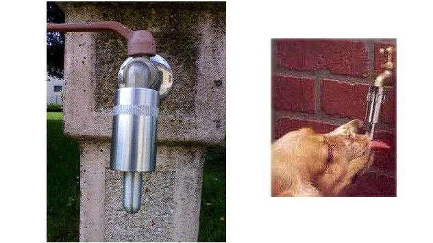 Automatyczny smoczek dla psa Automatyczny smoczek dla psa