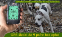 DOGTRACE GPS X20 zasięg 20 Km Dla psów Myśliwskich