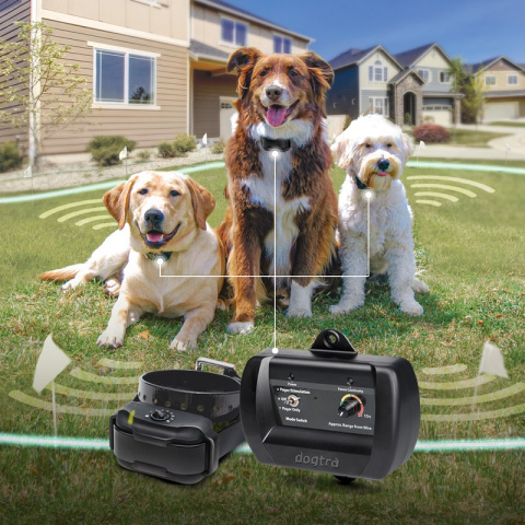 Elektroniczne ogrodzenie DOGTRA E-Fence 3500 Elektroniczne ogrodzenie DOGTRA E-Fence 3500