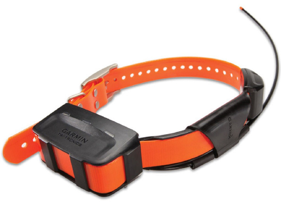 Dodatkowa obroża Garmin T5 z funkcją śledzenia psa kolor paska pomarańczowy Dodatkowa obroża Garmin T5 z funkcją śledzenia psa kolor paska pomarańczowy