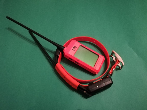 GPS dla psa dogtrace X30 GPS dla psa dogtrace X30