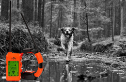 GPS dla psa GPS Dogtrace DOG GPS X30T z modułem treningowym