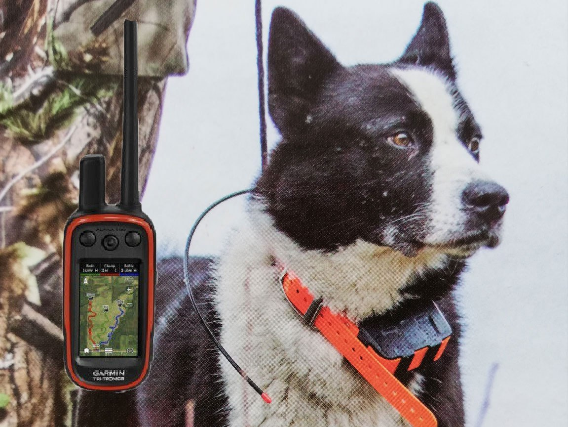 GPS DLA PSA Garmin Alpha 100 z obrożą T5 funkcją śledzenia psa GPS DLA PSA Garmin Alpha 100 z obrożą T5 funkcją śledzenia psa