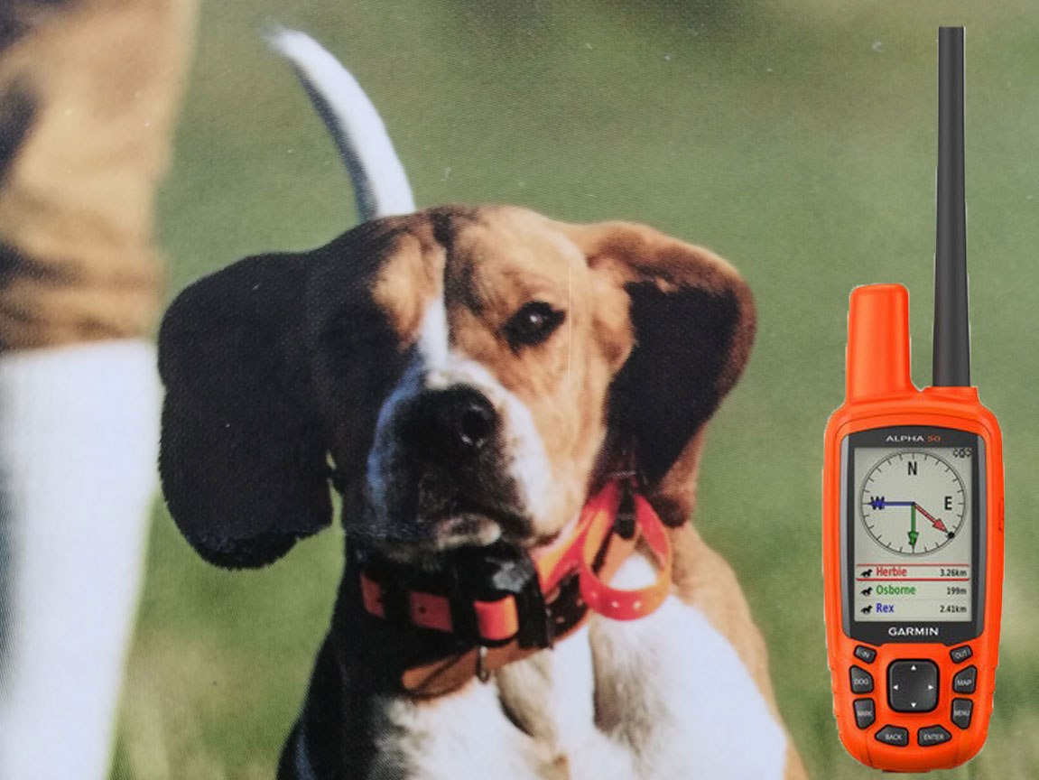 GPS DLA PSA Garmin Alpha 50 z obrożą T5 mini do śledzenia psów GPS DLA PSA Garmin Alpha 50 z obrożą T5 mini do śledzenia psów