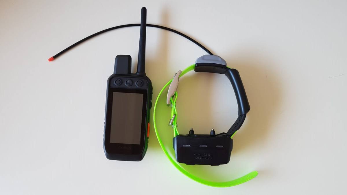 GPS dla psa Garmin Alpha 200i do śledzenia i szkolenia psów GPS dla psa Garmin Alpha 200i do śledzenia i szkolenia psów