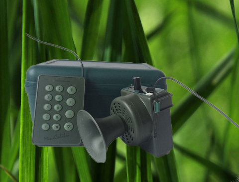 wabik elektroniczny wabik elektroniczny