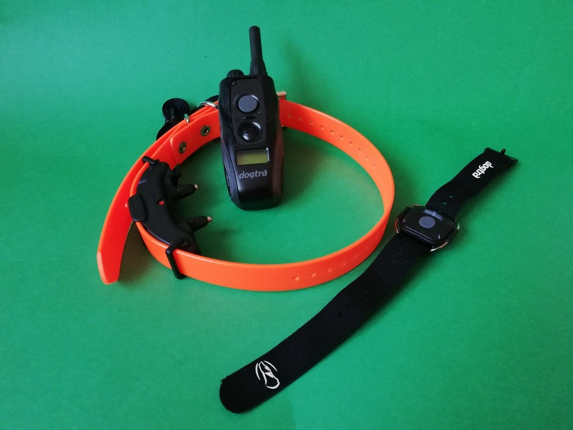 obroża elektryczna Dogtra ARC Handsfree Pomarańczowy obroża elektryczna Dogtra ARC Handsfree Pomarańczowy