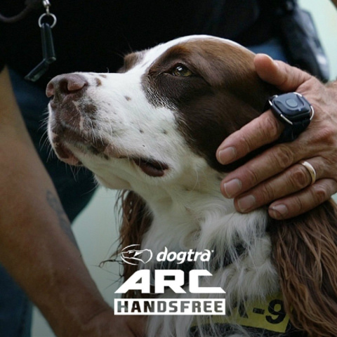 obroża elektryczna Dogtra ARC Handsfree CAMO obroża elektryczna Dogtra ARC Handsfree CAMO