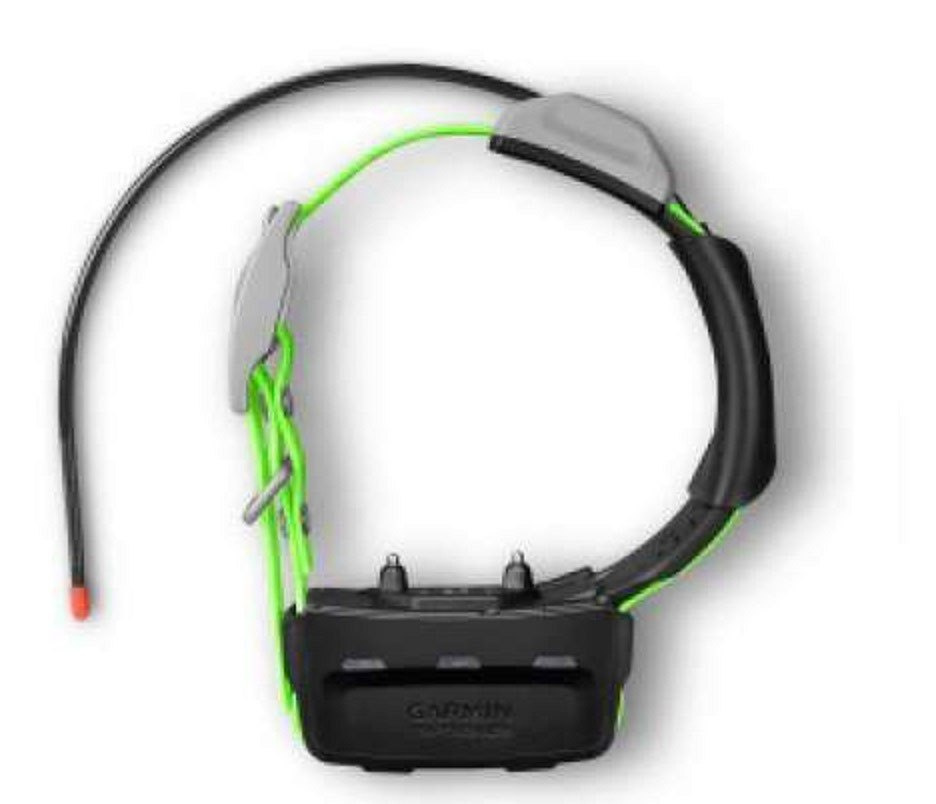 Dodatkowa obroża Garmin KT 15X z funkcją śledzenia i szkolenia psa Dodatkowa obroża Garmin KT 15X z funkcją śledzenia i szkolenia psa