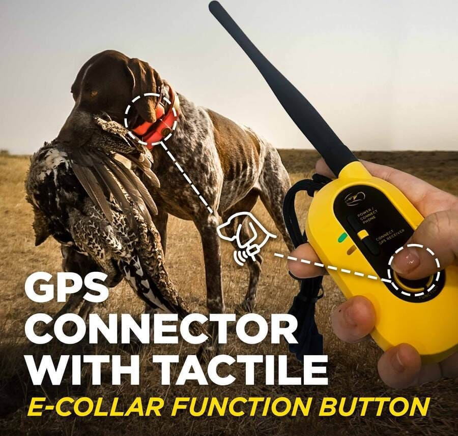 Dogtra Pathfinder 2 z GPS dla dużych ras psów
