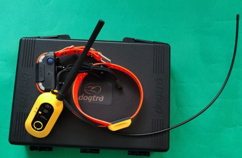 Dogtra Pathfinder 2 z GPS dla dużych ras psów Dogtra Pathfinder 2 z GPS dla dużych ras psów