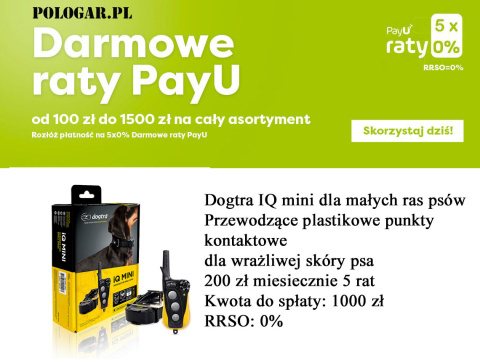 Obroża elektroniczna Dogtra IQ mini dla małych ras psów Obroża elektroniczna Dogtra IQ mini dla małych ras psów