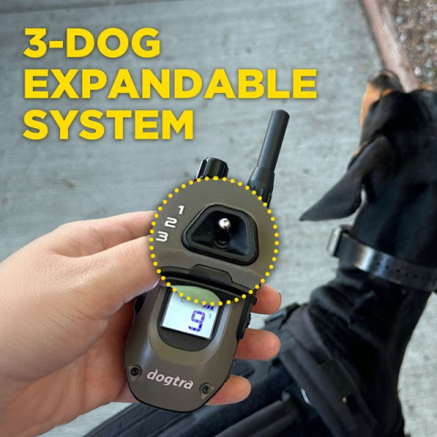 dogtra 1200 x dogtra 1200 x
