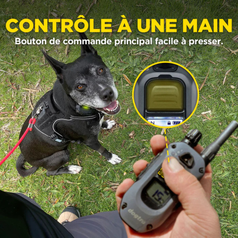 Obroża elektryczna Dogtra 640X Obroża elektryczna Dogtra 640X