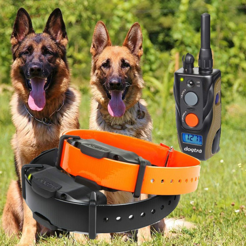 Obroża elektryczna dla 2 psów Dogtra ARC 1902S Handsfree PLUS Obroża elektryczna dla 2 psów Dogtra ARC 1902S Handsfree PLUS
