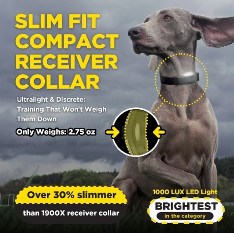 Niebieska Obroża elektryczna Dogtra ARC-X Stymulacja Sygnał dźwiękowy Wibracja Światło lokalizacji