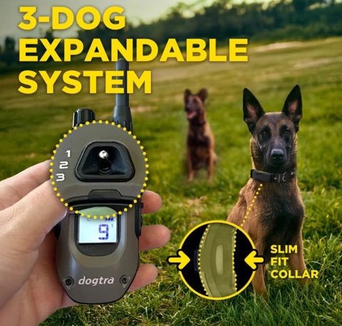 Niebieska Obroża elektryczna Dogtra ARC-X Stymulacja Sygnał dźwiękowy Wibracja Światło lokalizacji