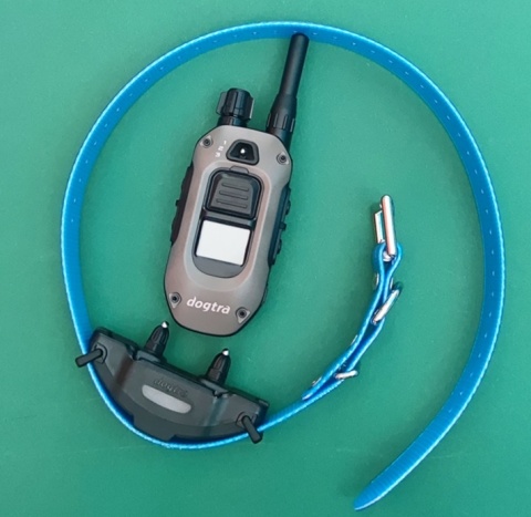 Niebieska Obroża elektryczna Dogtra ARC-X Stymulacja Sygnał dźwiękowy Wibracja Światło lokalizacji