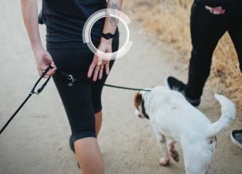 Dogtra HANDSFREE Dogtra HANDSFREE