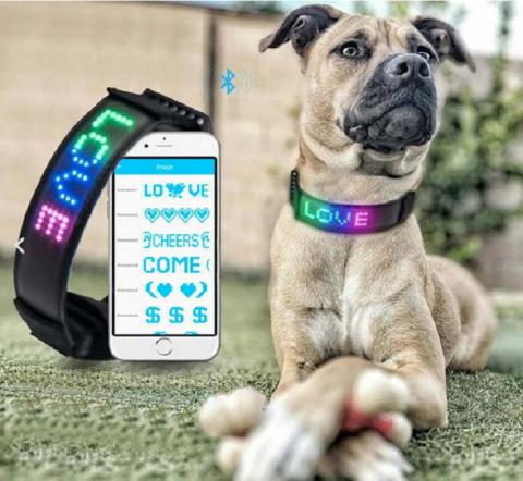 Obroża dla psa LED magic display