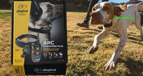 Dla 2 psów obroże elektrycze Dogtra ARC 802 Handsfree PLUS Dla 2 psów obroże elektrycze Dogtra ARC 802 Handsfree PLUS