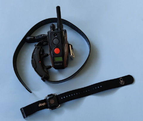 Dla 2 psów obroże elektrycze Dogtra ARC 802 Handsfree PLUS Dla 2 psów obroże elektrycze Dogtra ARC 802 Handsfree PLUS