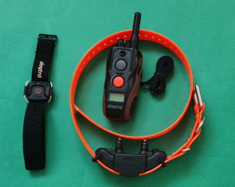 obroża elektryczna Dogtra ARC Handsfree Pomarańczowy obroża elektryczna Dogtra ARC Handsfree Pomarańczowy